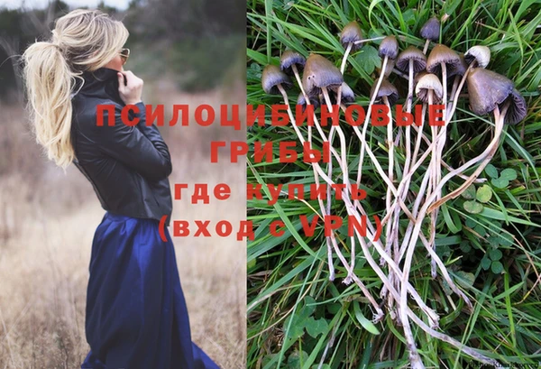 кокаин перу Аркадак
