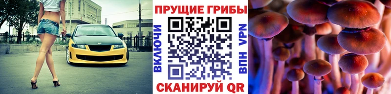 Псилоцибиновые грибы GOLDEN TEACHER  Ельня 