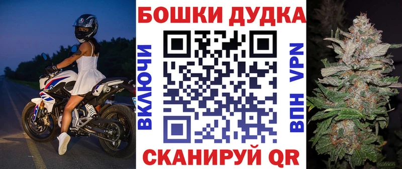 Канабис OG Kush  Ельня 